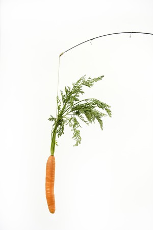 Try to eat the carrot rabbit trap. Concept imageの写真素材