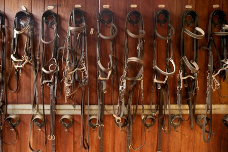 Horse riders complements, rigs, reins, leather over woodの写真素材