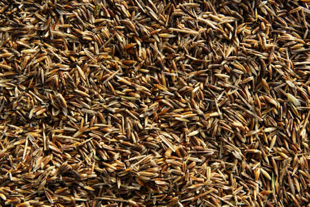 Oat cereal image. Oats texture backgroundの写真素材