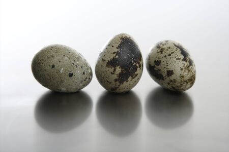 Three quail bird eggs simple compositionの写真素材