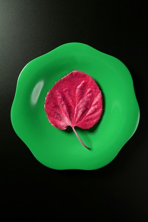 Metaphor, healthy diet low calories vegetarian meal in a dish, a simple leafの写真素材