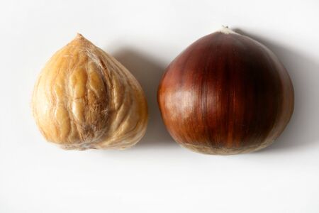 Chestnut isolated macro over white studio backgroundの写真素材