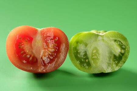 Two color tomatoes, green and red variety, studio shotの写真素材