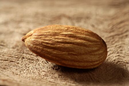 One golden almond, macro shot over brown woodの写真素材
