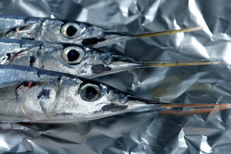 three little needle fish, uncooked macro studio shotの写真素材