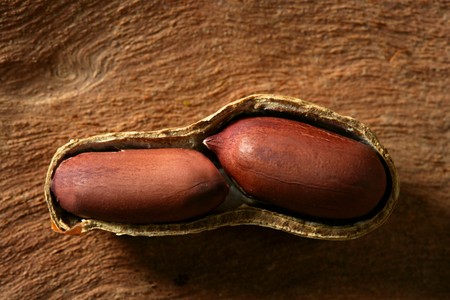 Peanuts macro over warm wood backgroundの写真素材