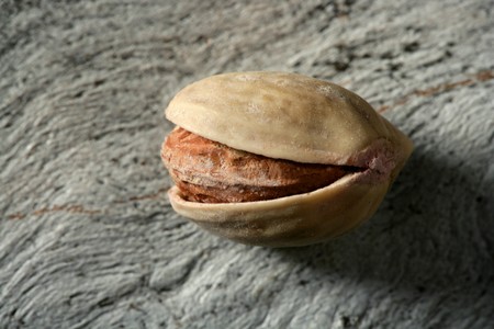 One pistachio over wooden gray background, macro with shadowsの写真素材