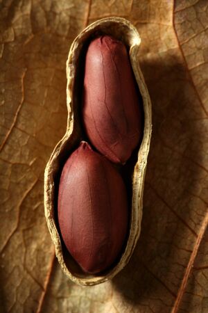 Peanuts macro over warm wood background