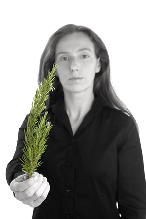 woman and rosemery isolated on white background.の写真素材