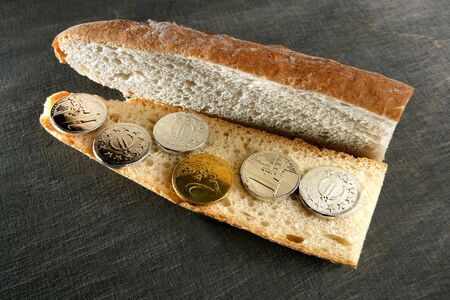 Euro currency sandwich business financial menu metaphorの写真素材