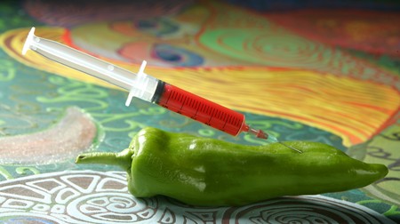Bio genetics research of food , green pepper and syringeの写真素材