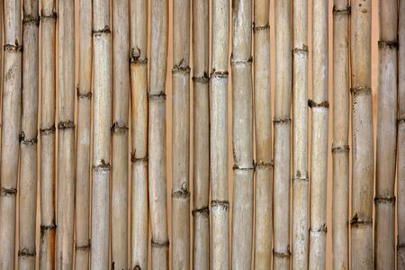  Summer light roof dried cane texture, typical asian and mediterraneanの写真素材