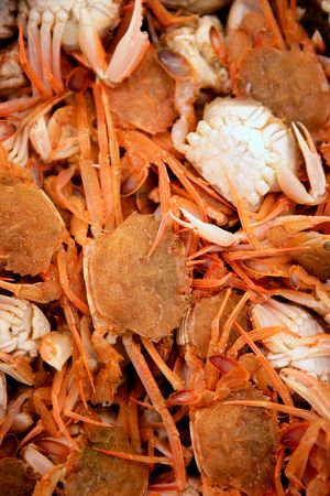Crab texture, seafood background with many mediterranean crabsの写真素材