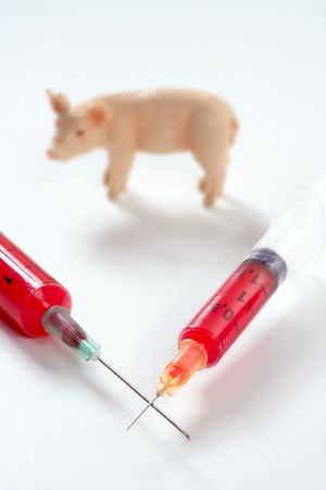 Swine flu A H1N1 vaccine metaphor with toy pigsの写真素材