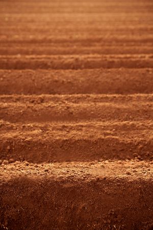 Ploughed red clay soil agriculture fields ready to sowの写真素材