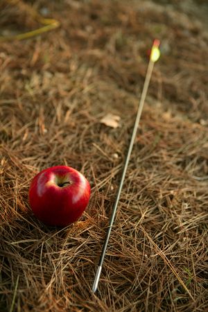 William tell metaphor with red apple and arrow in the forestの写真素材