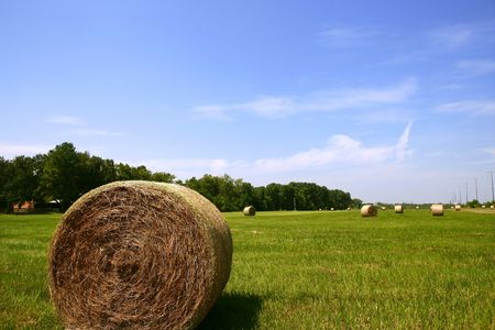 Golden Straw Hay Bales in american countryside on sunny dayの写真素材