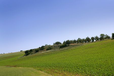 Cereal and potatoes green fields, landscapes in Spainの写真素材