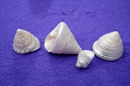 Sea shell over purple blue salt sand texture pearly winklesの写真素材