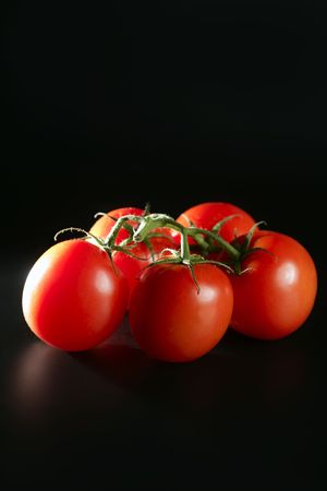 Cluster red tomato over dark black backgroundの写真素材
