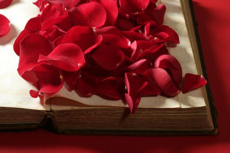 Rose petals over old aged book, red backgroundの写真素材