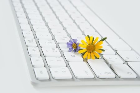 Concept of flowers growing from computer, ecology metaphor