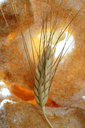 Delicious roll bakery with sugar and wheat ear spikesの写真素材