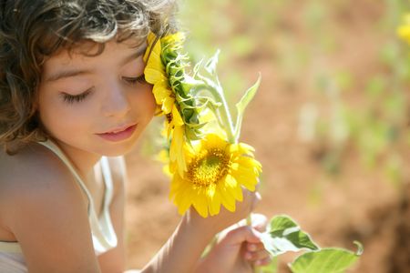 Beautiful little girl in a summer sunflower colorful fieldの写真素材