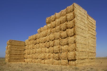 Barn with square shape stack on columns outdoor cereal textureの写真素材