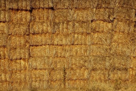 Barn with square shape stack on columns outdoor cereal textureの写真素材