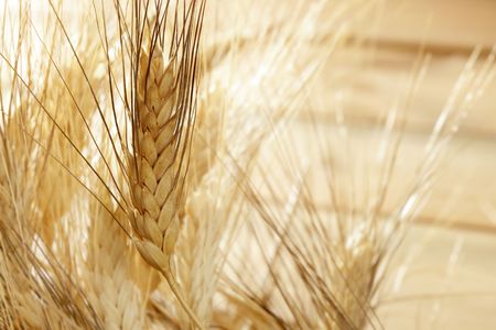 golden wheat cereal over wood backgroundの写真素材