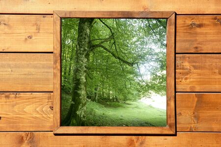 Wooden window jungle green forest view from wood cabinの写真素材