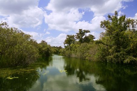 Mangroove river in everglades Florida landscape viewの写真素材