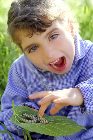 little girl playing with silkworm in handsの写真素材