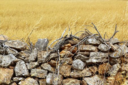 masonry stone wall golden summer field Formentera Balearic Islandsの写真素材