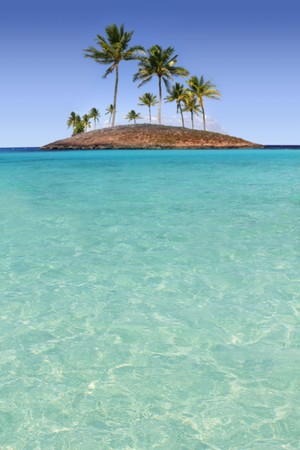 Paradise palm tree island in tropical turquoise beach seaの写真素材