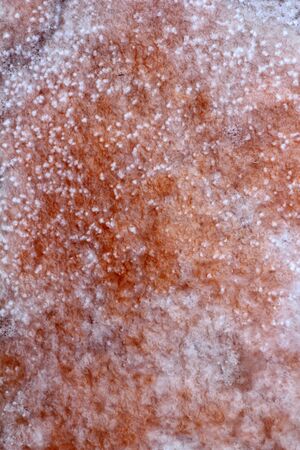 Ses Salines Formentera saltworks salt texture red colorの写真素材