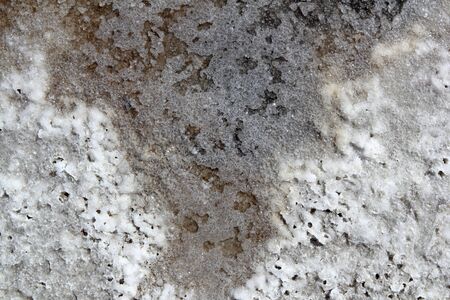 salt macro detail texture in saltworks sea water evaporation