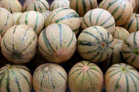 Cantaloupe rock melon muskmelon spanspek stacked on marketの写真素材