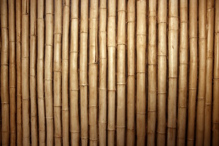 Bamboo cane row arrangement background patternの写真素材