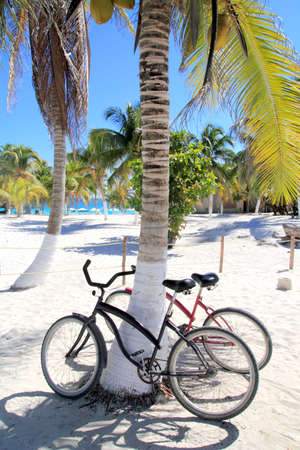 bicycles bike on coconut palm tree caribbean beach backgroundの写真素材