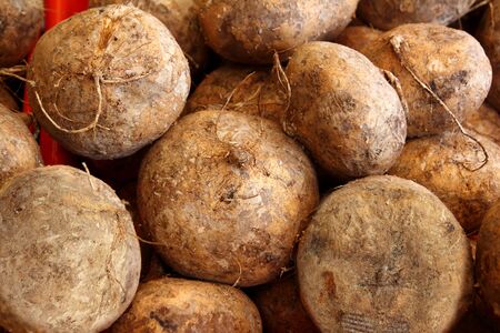 delicious jicama yam bean mexican food vegetableの写真素材