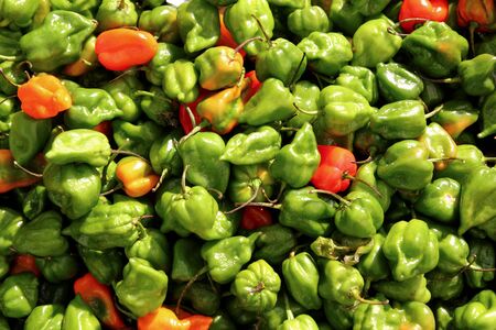 chili habanero hottest pepper in Mexico market patternの写真素材