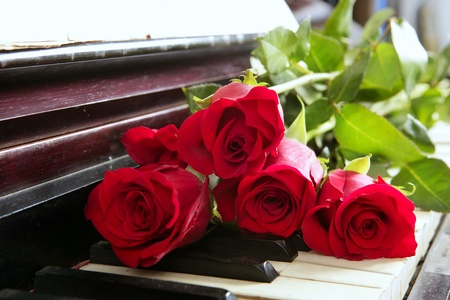 classic red roses on piano vintage romantic valentines dayの写真素材