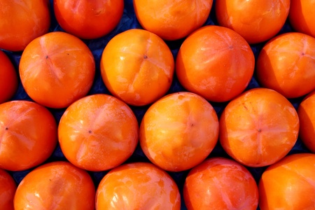 persimon fruits pattern in rows arrangement fruit backgroundの写真素材