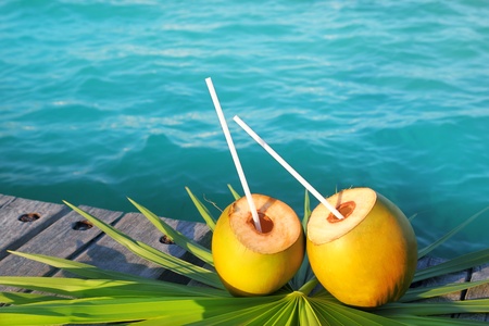 coconuts cocktail palm tree leaf in Caribbean tropical seaの写真素材