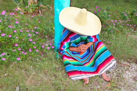 Mexican typical sombrero hat man poncho having a nap in the gardenの写真素材