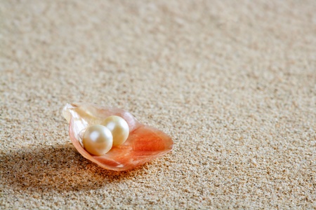 beach white sand with pearl in clam shell macro closeup