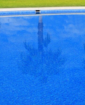blue tiles swimming pool with palm tree reflection on surface