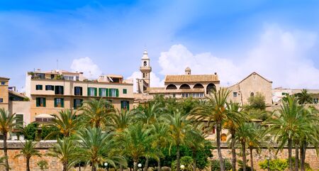 Majorca Cathedral garden with palm trees and Calatrava Barrioの写真素材